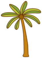 Palm Tree png