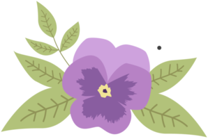 Stiefmütterchen Blume