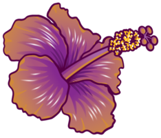Polynesische bloem