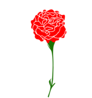 flor de clavel png