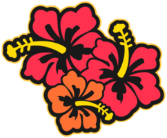 flor de havaí png