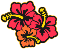 fleur d'Hawaï png