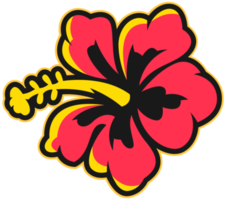 fleur d'Hawaï png