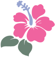 fleur d'Hawaï