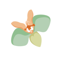 blomma polynesiska png