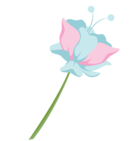 flor polinesia png