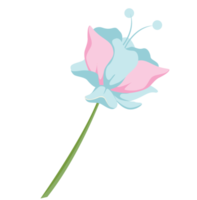 Blume polynesisch png