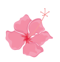 Flower polynesian