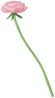 flor pintada png