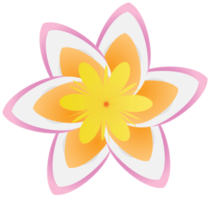 fleur polynésienne png