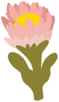 Flower hand drawn png