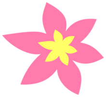Flower bright png