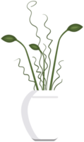 Dried flower pot png