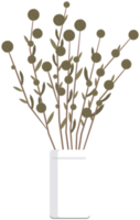 Dried flower pot png