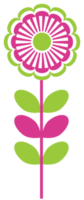 Colorful flower png