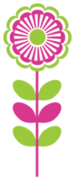 flor colorida png