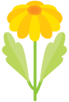 Belle fleur png