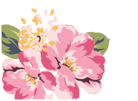 fundo flor png