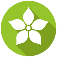 Flower icon png