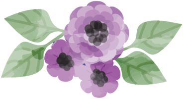 acquerello di fiori png