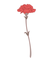 flor de clavel