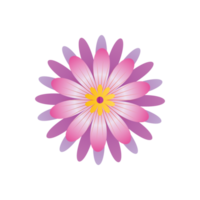 blomma polynesiska png