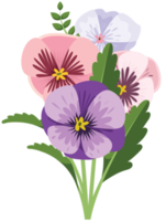 viooltje bloem png
