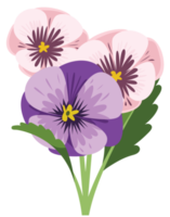 fiore viola del pensiero png