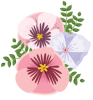 Stiefmütterchen Blume