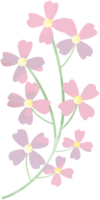 aquarelle fleur png