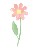 Flower watercolor png