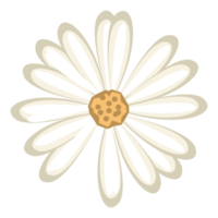 flor png