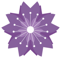 Flower blossom png