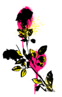 Blumen-Grunge-Graffiti png