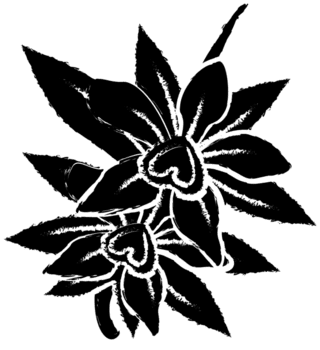 flowe png