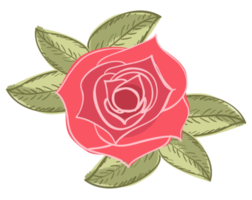 Rose png