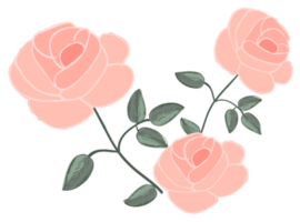 Rose png