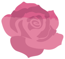 rosa png