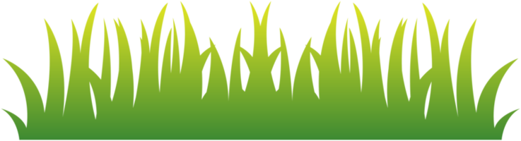 Grass png