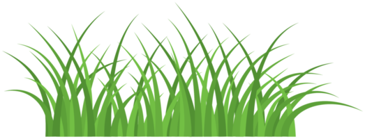 Grass png