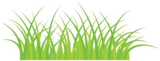 herbe png