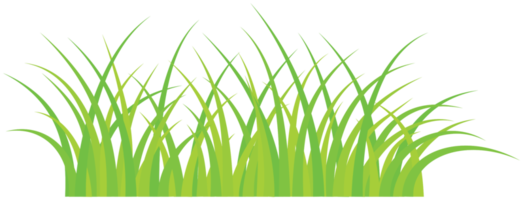 Grass png