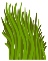 Grass png