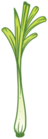 Citronnelle png