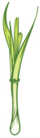 citronella png