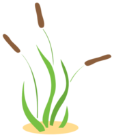 herbe png