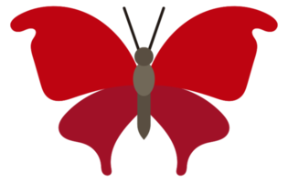 borboleta png