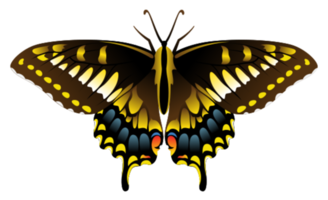 papillon png