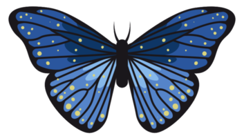 Butterfly png