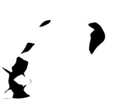 katt png